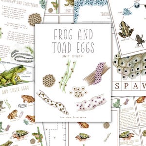 May include: A printable educational unit study about frogs and toads, featuring illustrations of frogs, toads, and their eggs. The title of the unit is "Frog and Toad Eggs Unit Study".