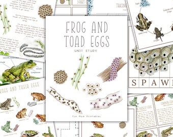 May include: A printable educational unit study about frogs and toads, featuring illustrations of frogs, toads, and their eggs. The title of the unit is "Frog and Toad Eggs Unit Study".