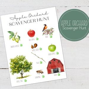 APPLE ORCHARD Scavenger Hunt, nature study, Outdoor Scavenger Hunt,  Montessori, Homeschool, Instant DOWNLOAD