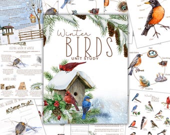 WINTER BIRDS Unit Study, Nature Study, Science,  Handwriting, Homeschool Printable, Montessori, Instant Download