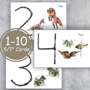 WINTER NATURE Counting Flashcards, 1 to 10 counting, Toddler Preschool Activity, Instant Download