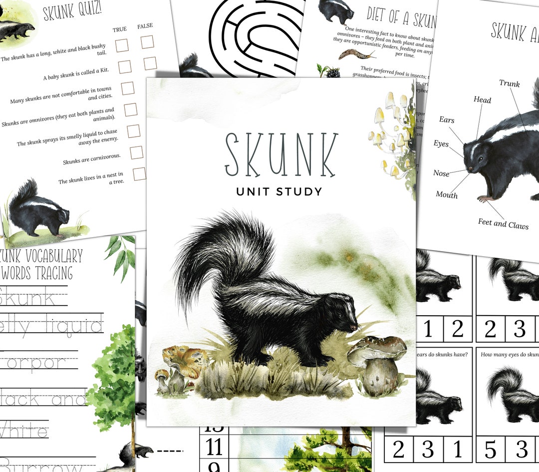 SKUNK Unit Study Life Cycle Anatomy Nature Study Science - Etsy