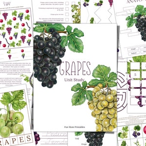 GRAPES Unit Study,  Anatomy, Nature Study, Science,  Handwriting, Homeschool, Montessori, Instant DOWNLOAD