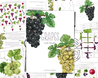 May include: A printable educational unit study about grapes. The cover features a colorful illustration of grapes on a vine with the title "GRAPES Unit Study" and the text "Fun Mom Printables".
