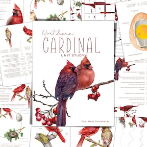 NORTHERN CARDINAL Unit Study, Life Cycle, Anatomy, Nature Study, Science,  Handwriting, Homeschool Printable, Montessori, Instant DOWNLOAD