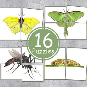 Tarjetas de emparejamiento MINIBEASTS, rompecabezas de simetría, actividad preescolar para niños pequeños, descarga instantánea
