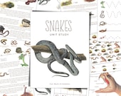 Snakes Unit Study: Anatomy, Life Cycle, Homeschool Printable (Instant Download)