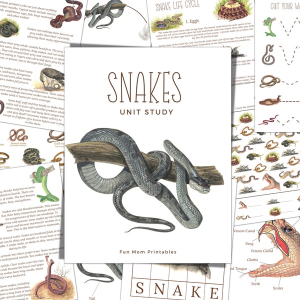 SNAKES Unit Study, Life Cycle, Anatomy, Nature Study, Science,  Handwriting, Homeschool Printable, Montessori, Instant Download