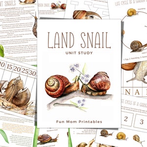 Estudio de unidad SNAIL, Ciclo de vida, Anatomía, Estudio de la naturaleza, Ciencia, Escritura a mano, Educación en el hogar imprimible, Montessori, DESCARGA INSTANTÁNEA