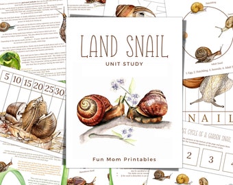 Studio dell'Unità SNAIL, Ciclo di vita, Anatomia, Studio della natura, Scienza, Scrittura a mano, Homeschool stampabile, Montessori, DOWNLOAD IMMEDIATO