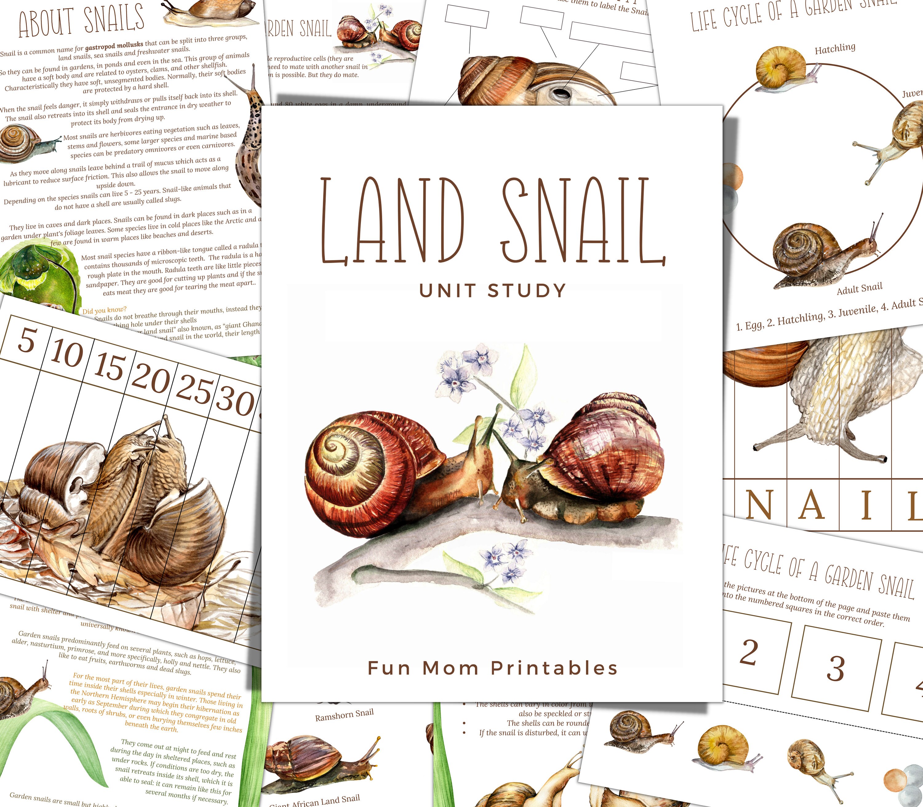 SNAIL Unit Study, Life Cycle, Anatomy, Nature Study, Science,  Handwriting, Homeschool Printable, Montessori, INSTANT DOWNLOAD