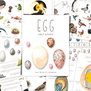 Estudio de unidad HUEVO, Animales ovíparos, Ciclo de vida, Anatomía, Estudio de la naturaleza, Ciencia, Educación en el hogar imprimible, Descarga instantánea