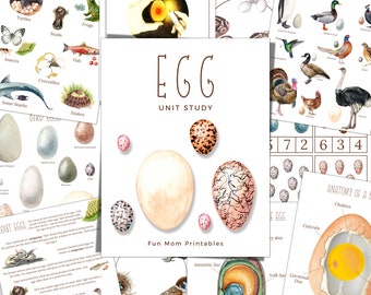 EGG Unit Study, Oviparous Animals, Life Cycle, Anatomy, Nature Study, Science,  Homeschool Printable, Instant Download