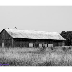 black & white rustic barn. there is beauty in the old and abandoned.