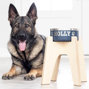 Elevated Dog Bowl Stand for YETI Boomer 4-Cup Dog Bowl (Personalized Dog Bowl Optional)
