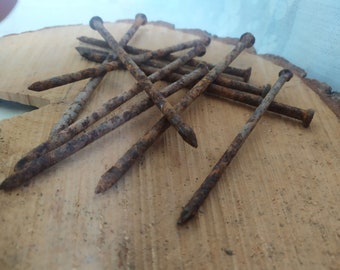 Set of 10 Vintage Rusty Nails for Crafting DIY Projects and Home Decor