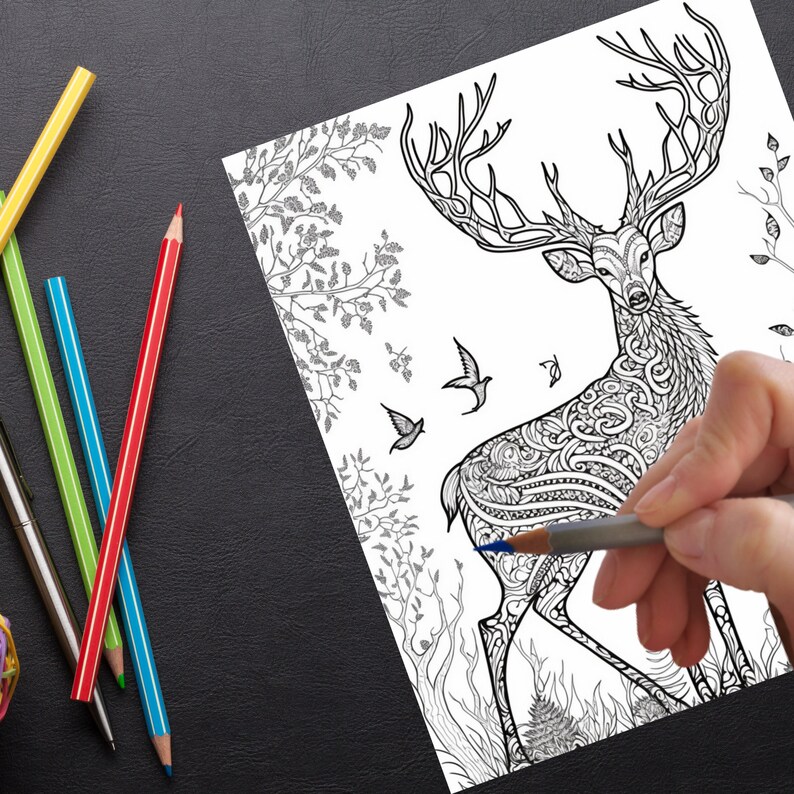 Indigenous Animal Coloring Pages, First Nations Coloring Book for