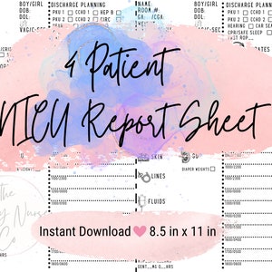 NICU Nurse Report Sheet Neonatal ICU Report Sheet Baby Nurse Brain Sheet Nursing Report Sheet Hourly Template 4 Patient Printable PDF