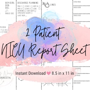 NICU Nurse Report Sheet Neonatal Icu Report Sheet Baby Nurse Brain Sheet Nursing Report Sheet Hourly Template 2 Patient Printable PDF