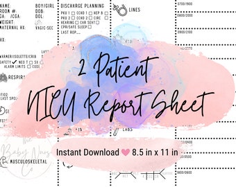 NICU Nurse Report Sheet Neonatal Icu Report Sheet Baby Nurse Brain Sheet Nursing Report Sheet Hourly Template 2 Patient Printable PDF