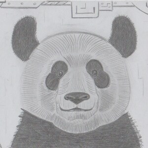 May include: A black and white pencil drawing of a panda bear's face. The panda has a friendly expression and is looking directly at the viewer. The drawing is detailed and realistic.