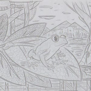 May include: A black and white pencil drawing of a frog sitting on a leaf. The frog is looking to the right and has a large eye. The background is a stylized drawing of a forest with a village in the distance.