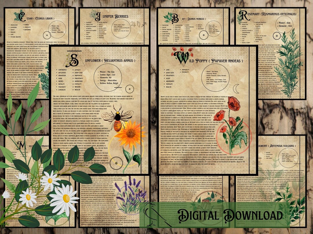 Grimoire Herbal Printable Page| Book of Shadows | Pagan | Witchcraft ...