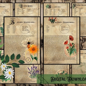 Grimoire Herbal Printable Page| Book of Shadows | Pagan | Witchcraft | Green Witch | Baby Witch | Herb Profiles | Spell | Junk Journal