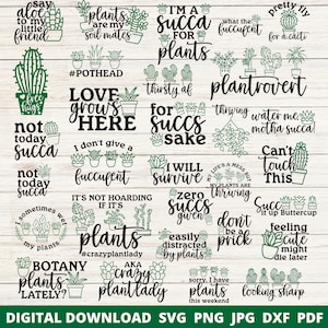 Plant Lover Svg bundel, sappige Svg bundel, cactus Svg, plant woordspelingen Svg, grappige plant Svg, plant Svg, kamerplant Svg, tuinieren citaat Svg