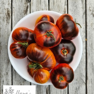 May include: A white bowl filled with heirloom tomatoes. The tomatoes are a mix of red and black with a dark, almost black, colour on the bottom half of each tomato.