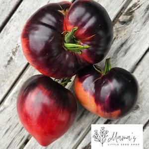 May include: Three heirloom tomatoes with a deep purple and red colour. The tomatoes are on a wooden surface.