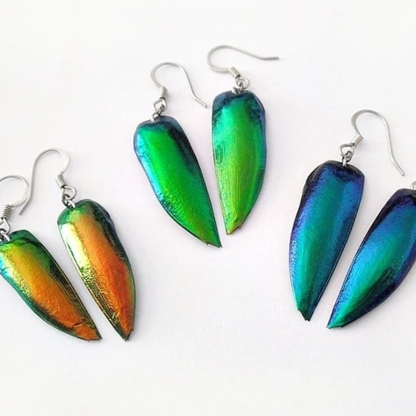 Jewel beetle earrings, pick your color, scarab beetle wing earrings, scarab shell earrings, dangle insect wings earrings, bug shell earrings