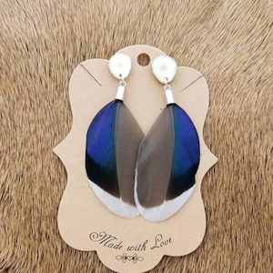 Mallard feather earrings