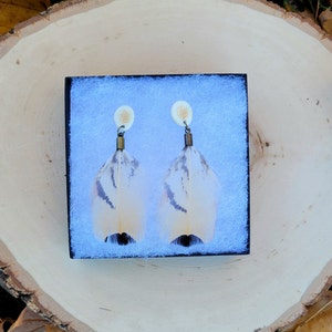 Pheasant feather earrings