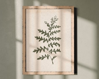 Vintage nature posters |  modern farmhouse decor | greenery wall art |  | Printable wall art | vintage botanical prints download