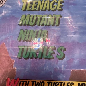 Teenage Mutant Ninja Turtles
