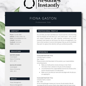 CEO Resume for Word, Executive C Level Resume, Modern Executive Resume Template, President Manager Director Resume Template, C Suite Resume