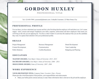 ATS CV Sjabloon, Directeur CV, Modern CV, Eenvoudig CV, Executive CV, CV Sjabloon voor Word, Professioneel CV Sjabloon