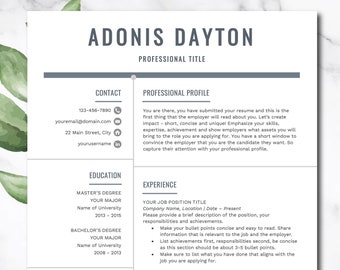 Modern Resume Template for Word, Professional Resume, CV Template, Minimalist Resume, Simple Resume, Word Resume, Resume Template 2022