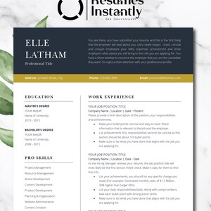 CEO Resume for Word, Executive C Level Resume, Modern Executive Resume Template, President Manager Director Resume Template, Clean Resume