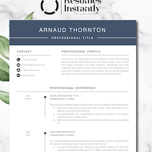CEO Resume for Word, Executive C Level Resume, Modern Executive Resume Template, President Manager Director Resume Template, C Suite Resume