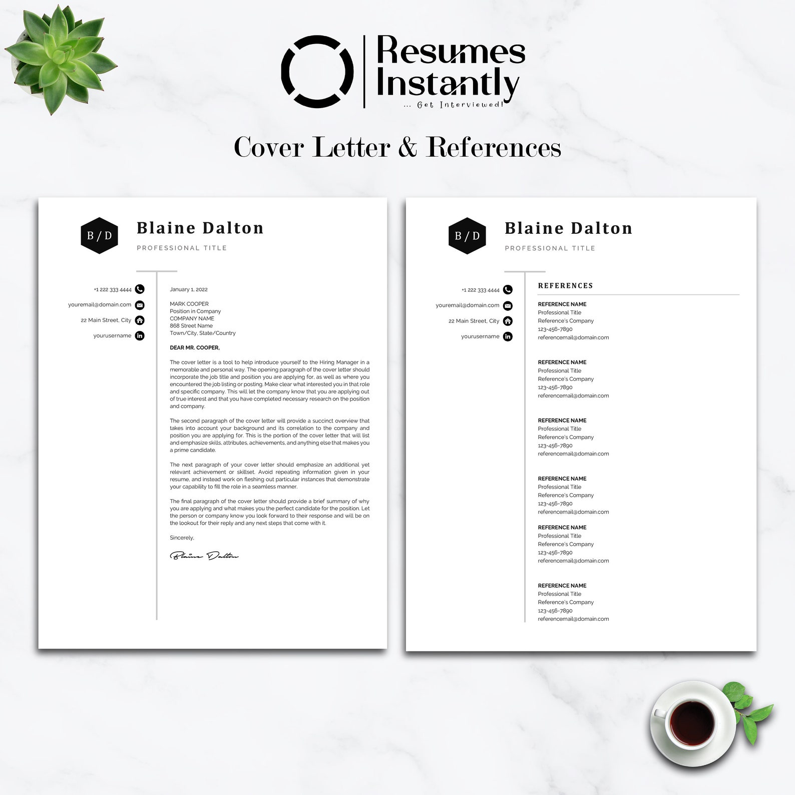 Modern Executive Resume Template 2022, MS Word Resume Templates, CV ...