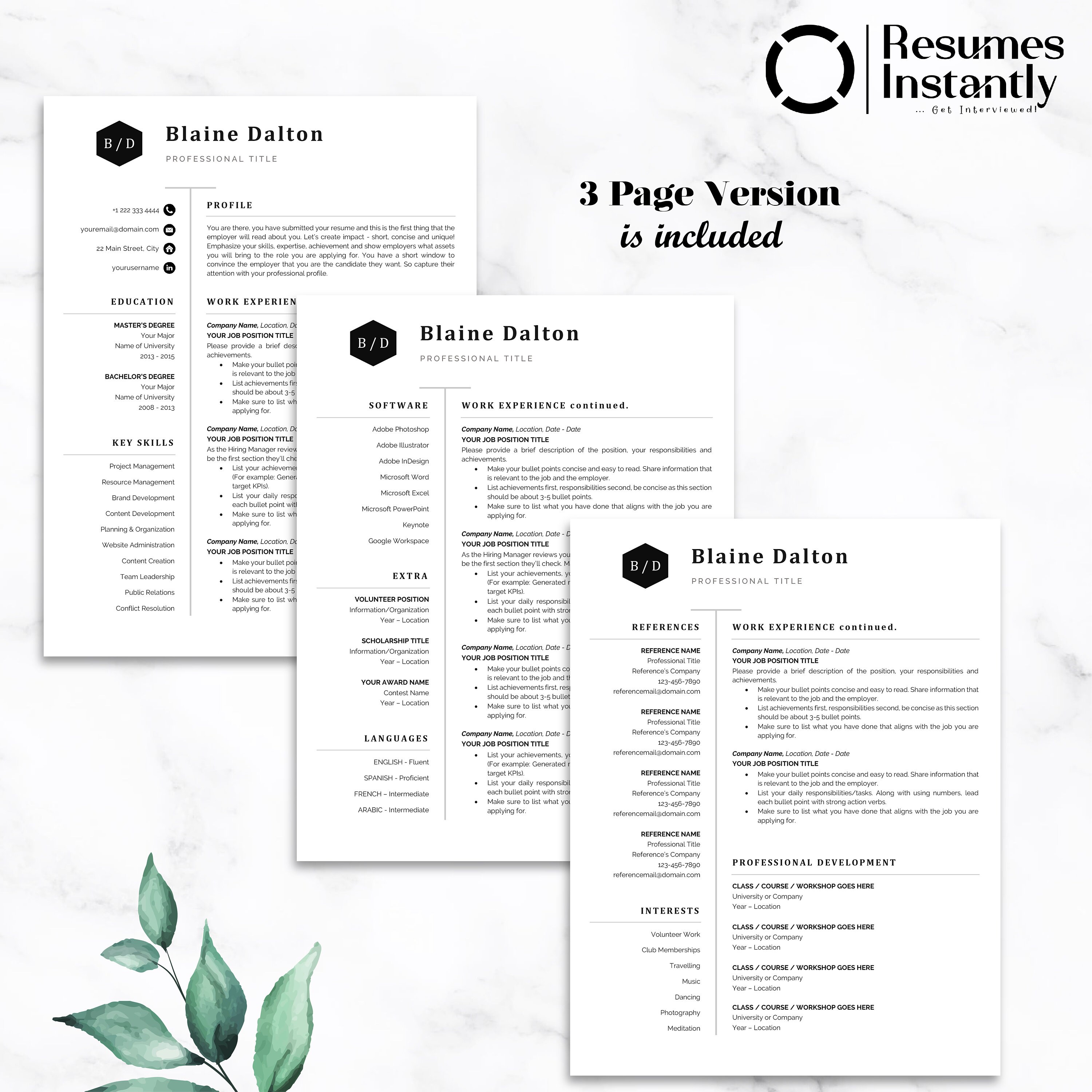 Modern Executive Resume Template 2022, MS Word Resume Templates, CV ...