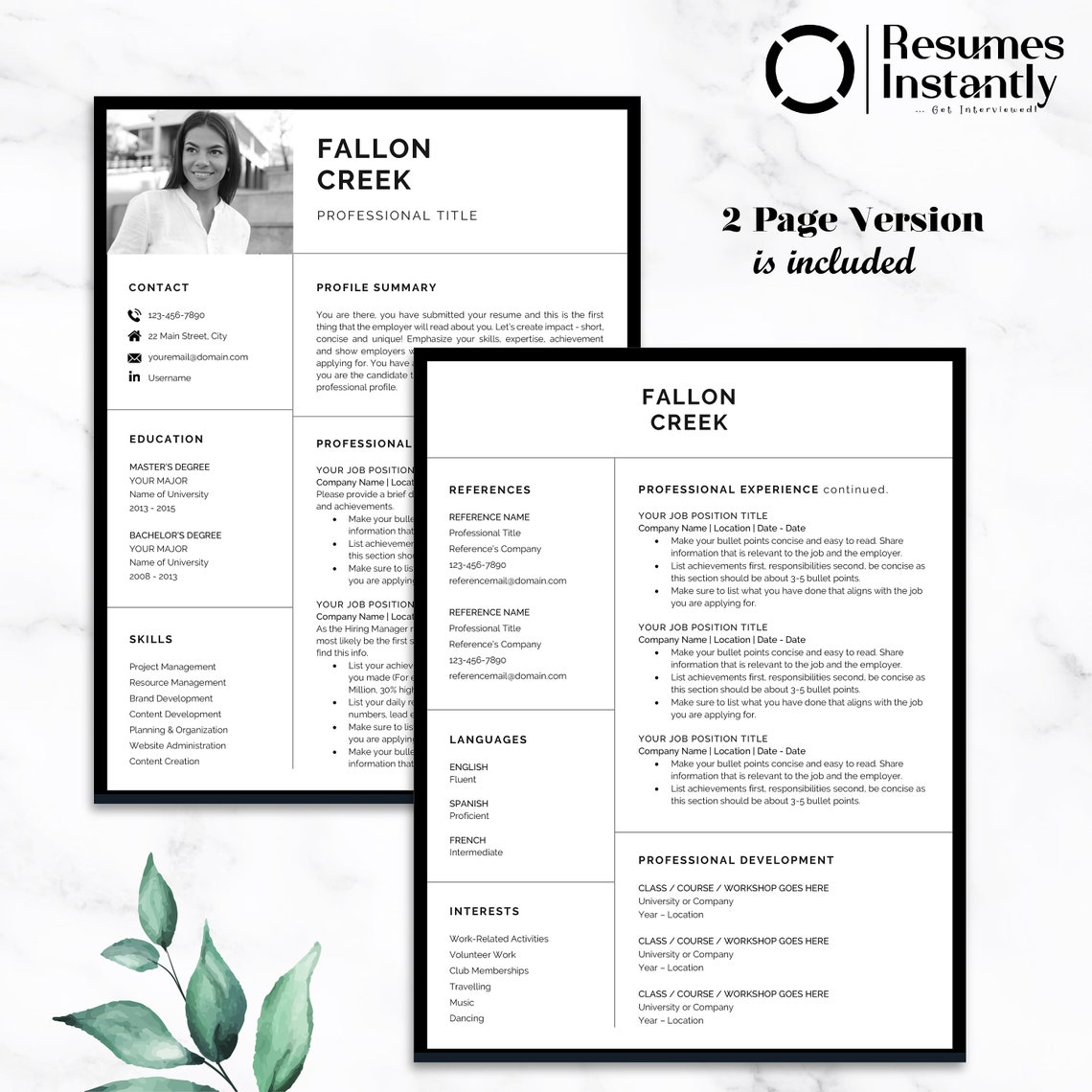 ceo-resume-for-word-executive-c-level-resume-professional-modern