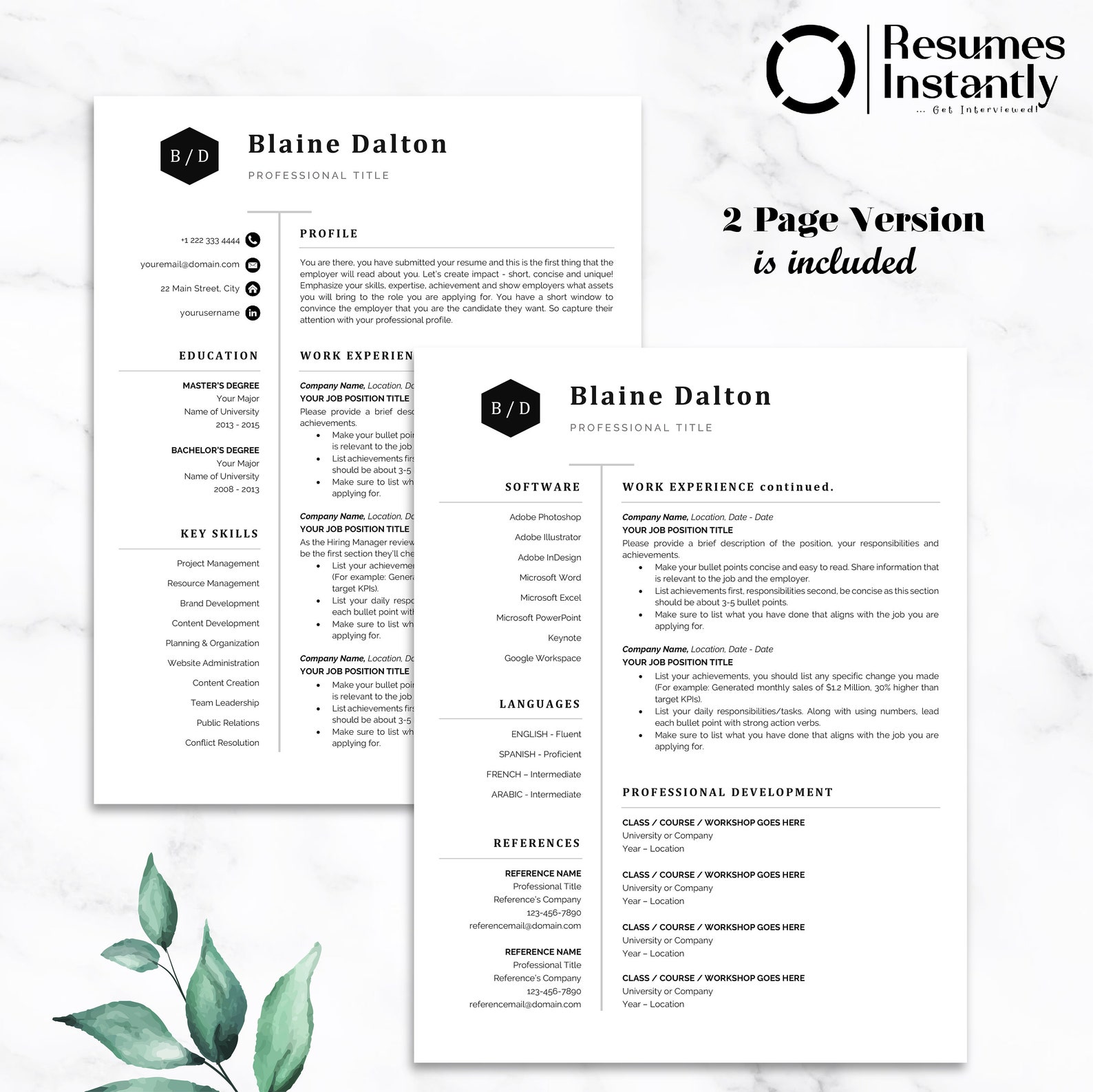 Modern Executive Resume Template 2022, MS Word Resume Templates, CV ...