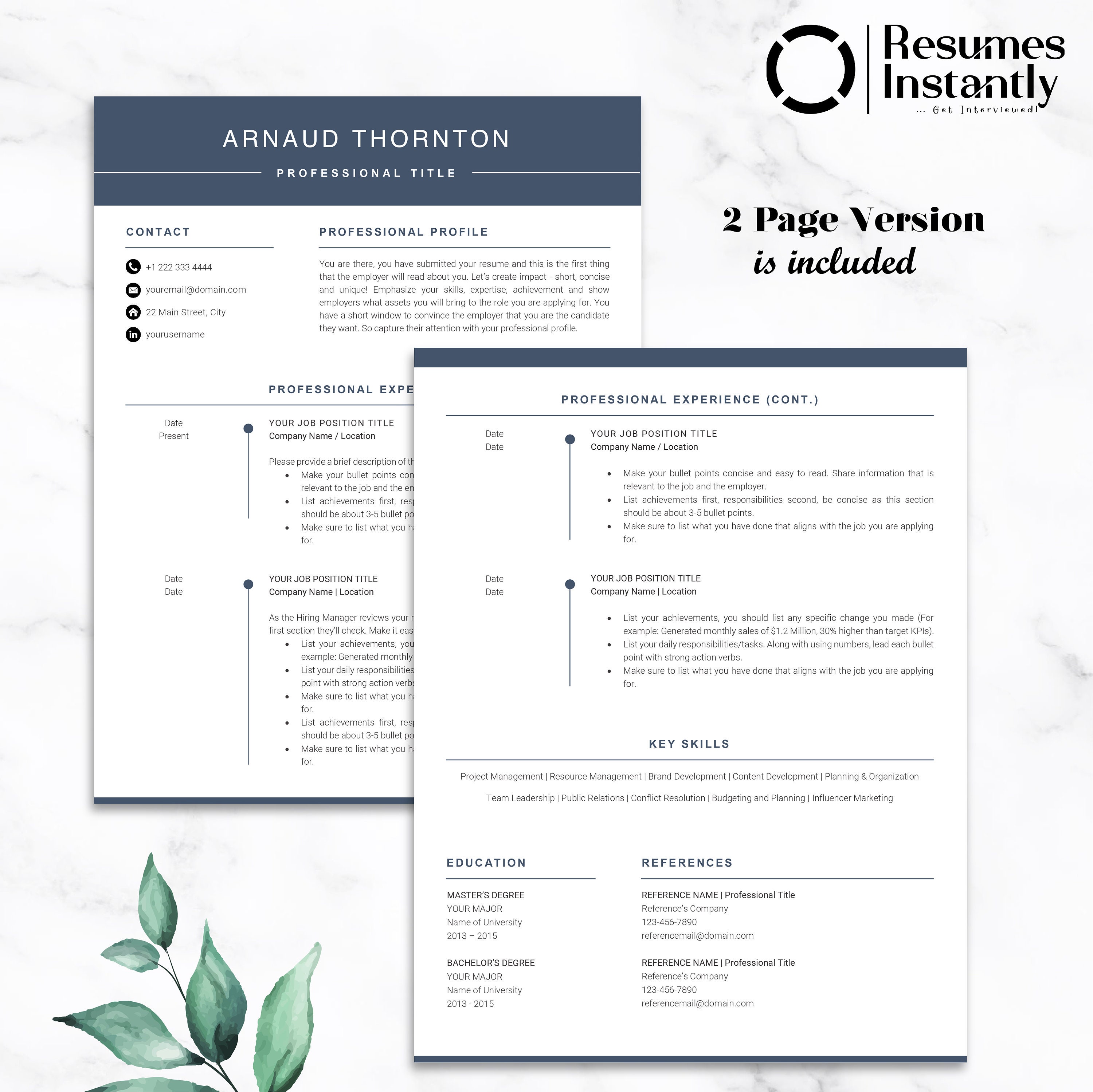 CEO Resume for Word, Executive C Level Resume, Modern Executive Resume ...