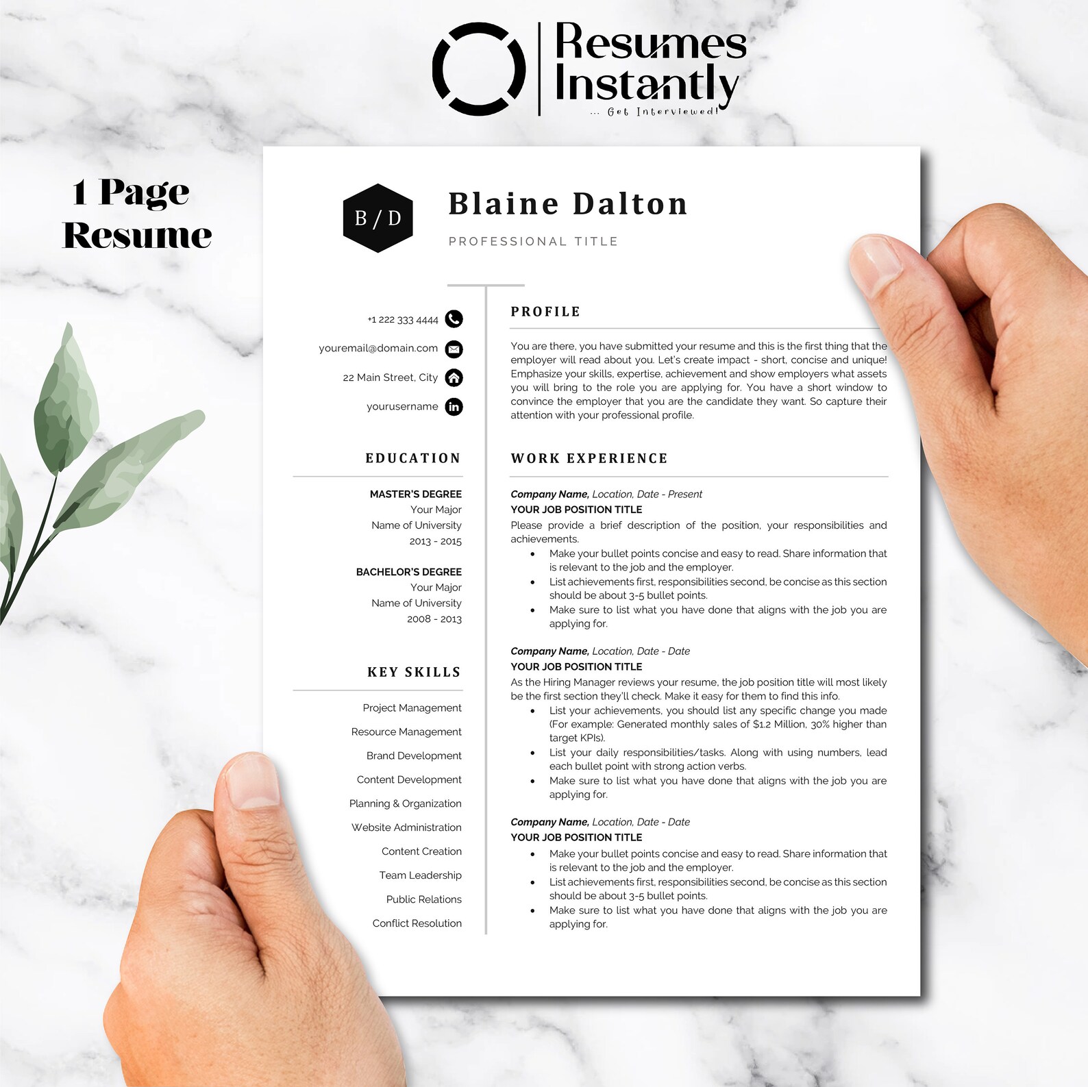 Modern Executive Resume Template 2022, MS Word Resume Templates, CV ...