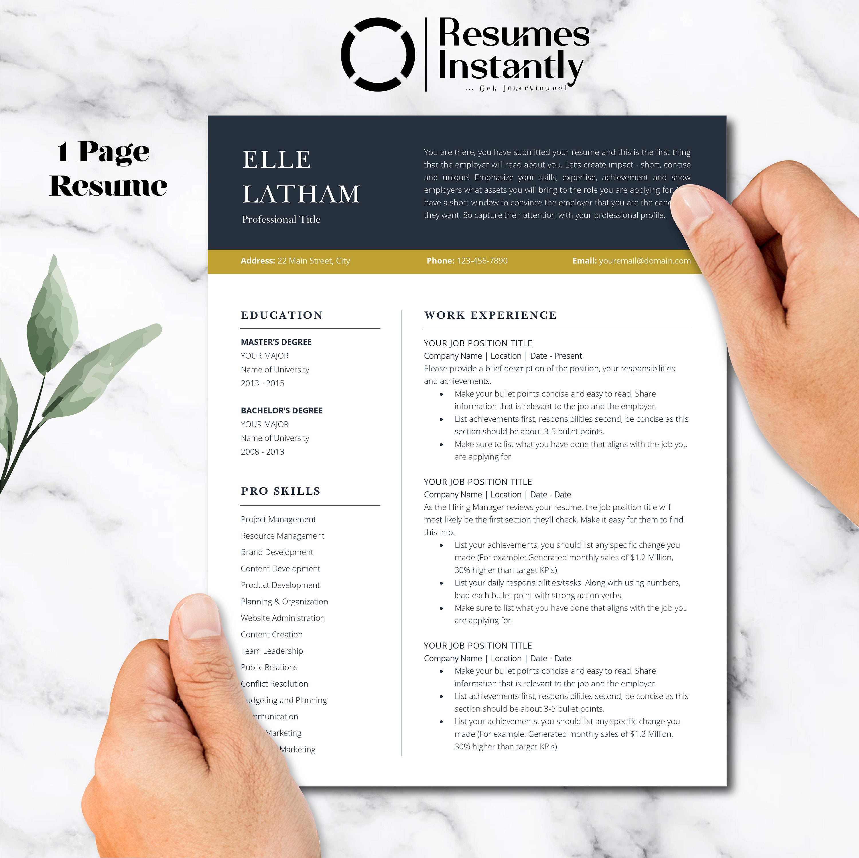 CEO Resume for Word, Executive C Level Resume, Modern Executive Resume ...