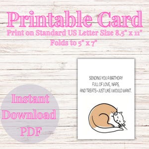 Funny Cat Birthday Card, Printable Birthday Card, Cute Cat Lover Gift, Digital Download, Instant Download, PDF File, Fold to 5" x 7"
