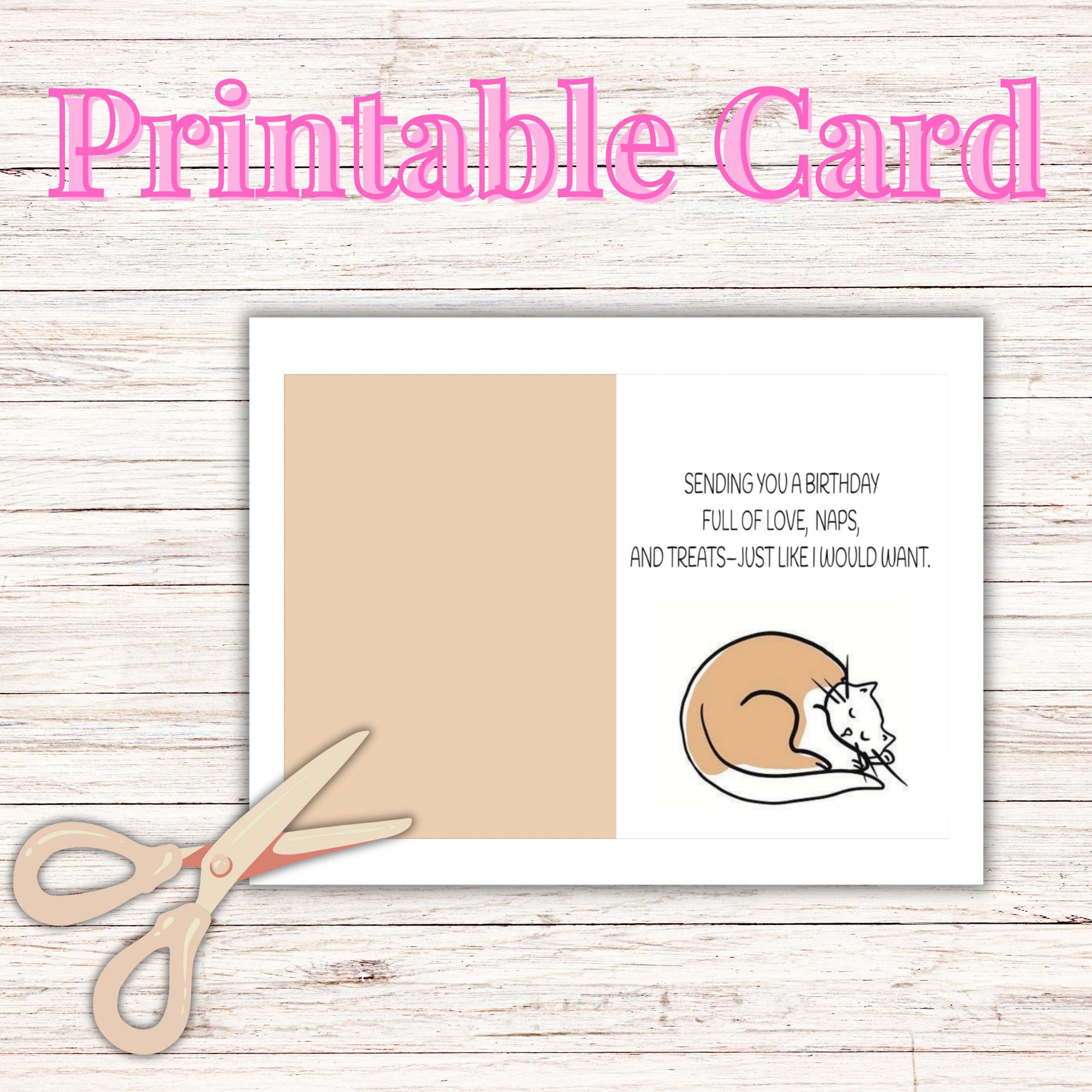 Funny Cat Birthday Card, Printable Birthday Card, Cute Cat Lover Gift ...